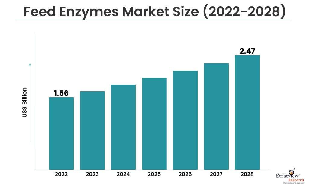 Feed Enzymes Market Size